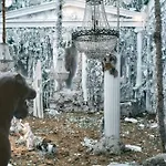 Royal Myconian - Leading Of The World